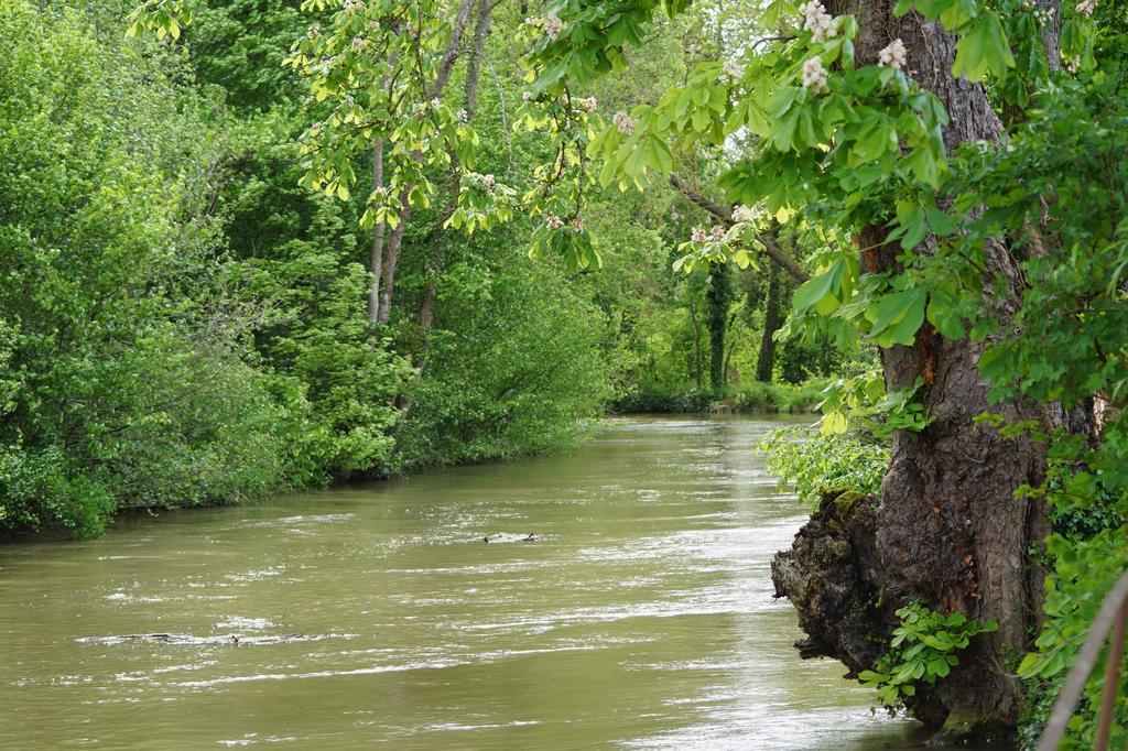 Bed and Breakfast Le Moulin D'Eclaron Номер фото